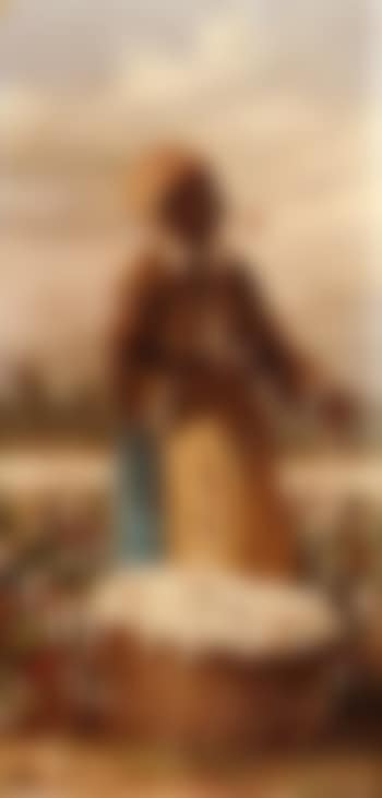Cotton pickers (preview)