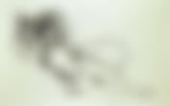 Monica Nude with Matisse (preview)