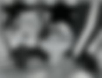 Still life (preview)