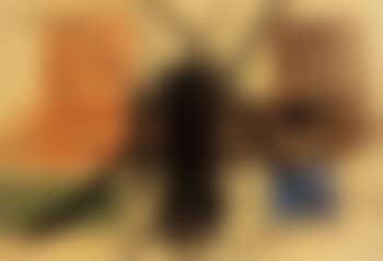 Composition (preview)