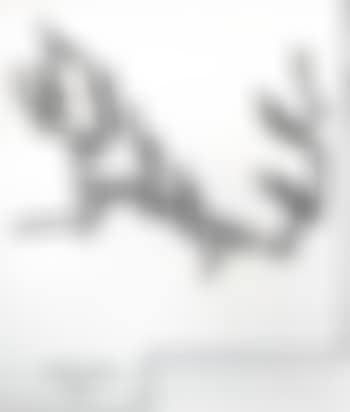 Composition (preview)