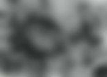 Composition (preview)