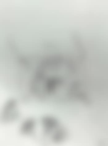 Untitled (preview)