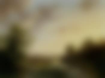 Extensive wooded landscape (preview)