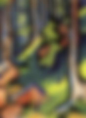 Forest (preview)