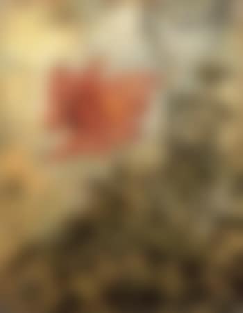 Rose (preview)