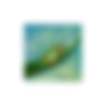 Grenouille (preview)