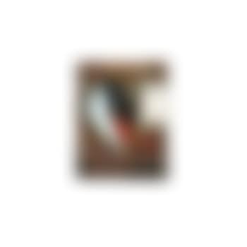 Merzbild mit bindfaden (preview)