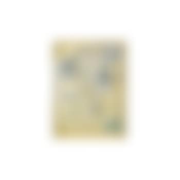 Merzzeichnung 40: Echte Apylosse (preview)