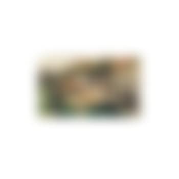 Cour de ferme (preview)