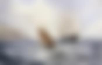 Clipper and fishing boats (preview)