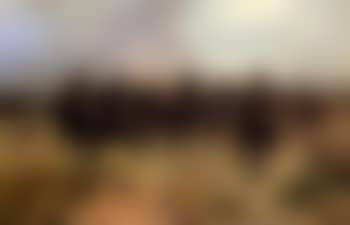 Hussars on charge (preview)