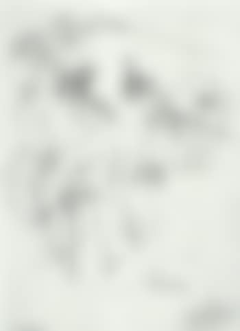 Negertanz (preview)