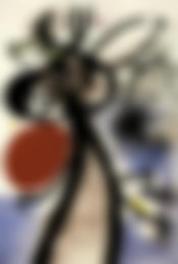 Femme, oiseaux devant le soleil (preview)