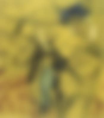 Madchen mit grunen strumpfen (preview)