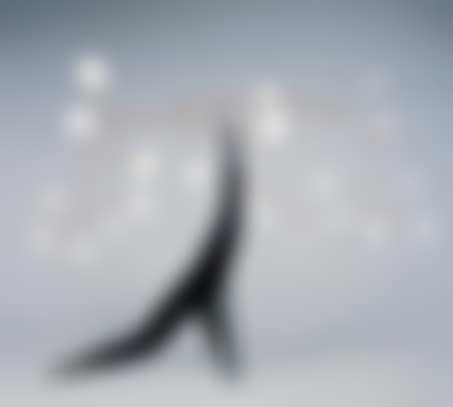 Black seal (preview)