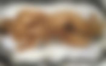 Nu Rose (preview)