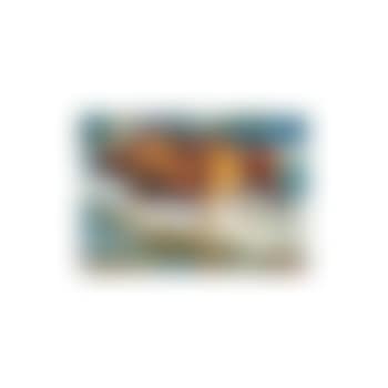 Bueyes en el mar - Oxen in the sea (preview)