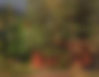 Red cottage (preview)