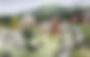 Goodbye (preview)