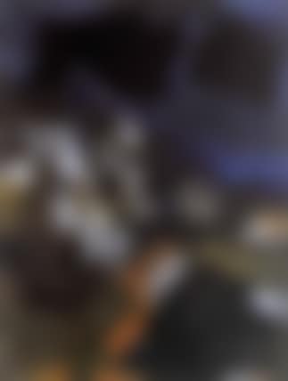 Paysage (preview)