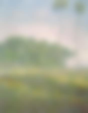 Paysage de printemps (preview)