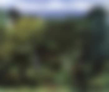 Paysage de Sanary (preview)