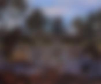 Carriere (preview)