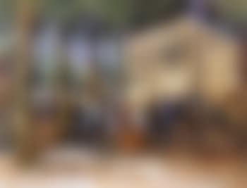 Village feast, probably Laren (preview)