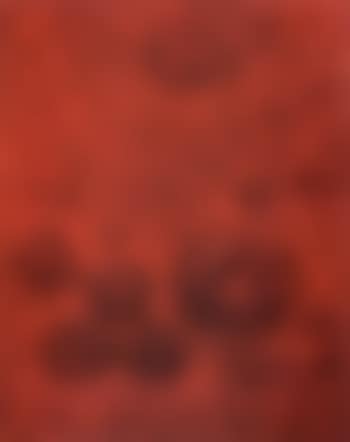 Re 26 (preview)