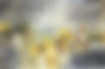 Morning of morning (preview)