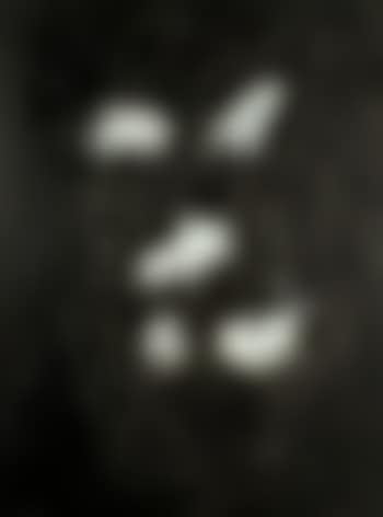 Xenia (preview)