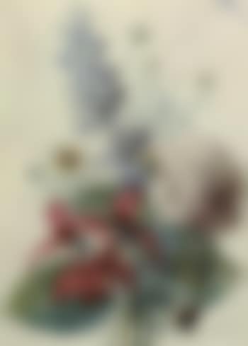 Hydrangea, hyacinths, Saint-Jacques lilies and daisies (preview)