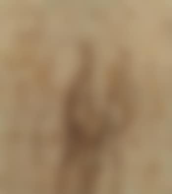 The Risen Christ (preview)