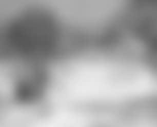 Winter vista (preview)