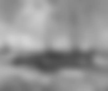 Return of fleet (preview)