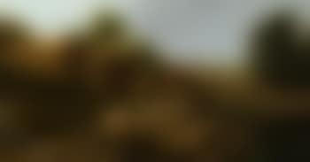 Summer landscape with live stock in a meadow (preview)