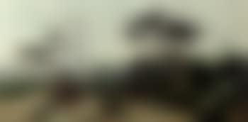 Dune landscape with trees (preview)