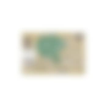 Green carnation (preview)