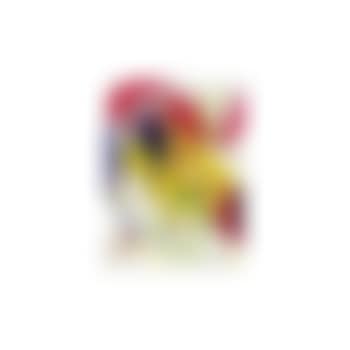 Untitled (preview)