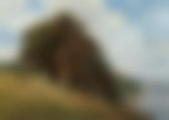 Steep hills with large trees (preview)