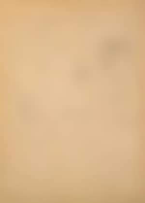 Untitled III (preview)
