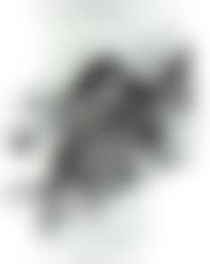 Kingfisher (preview)