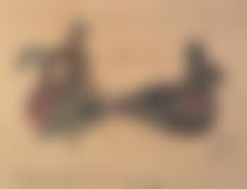 Two women with swan (preview)