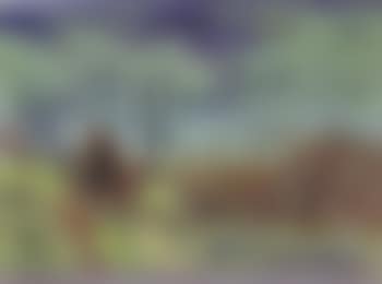 Lake between hills (preview)