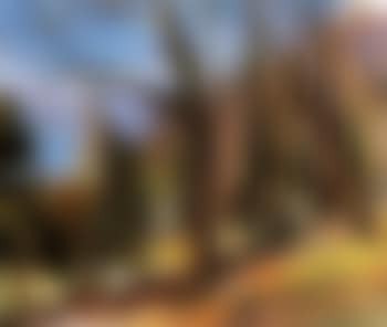 Wood landscape, Tessin (preview)