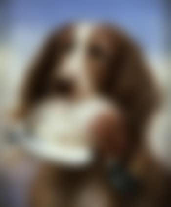 Hound with game (preview)