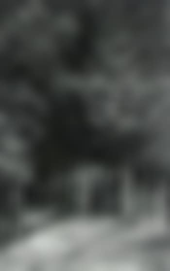 Sous-Bois (preview)