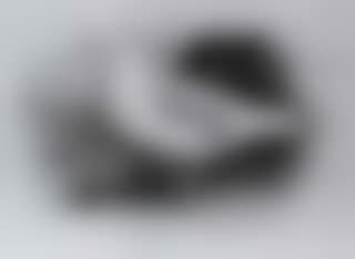 Glaucaous Gull (preview)