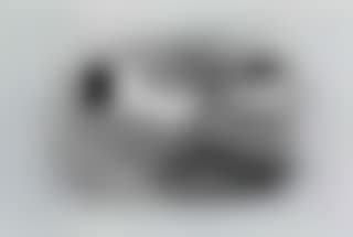 Great Black-headed Gull (preview)